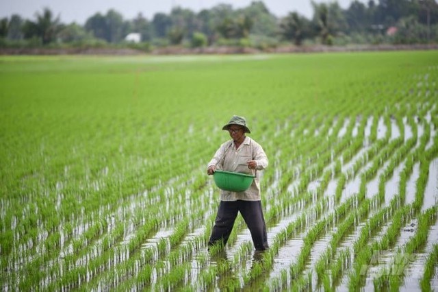 MỚI NHẤT VỀ GIÁ THU THUẾ SỬ DỤNG ĐẤT NÔNG NGHIỆP