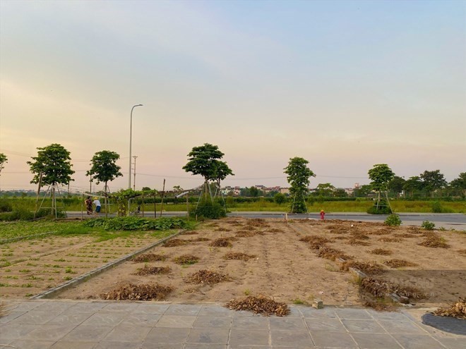 THỜI ĐIỂM CƠN SỐT ĐẤT NỀN CÓ THỂ QUAY LẠI THỊ TRƯỜNG BẤT ĐỘNG SẢN