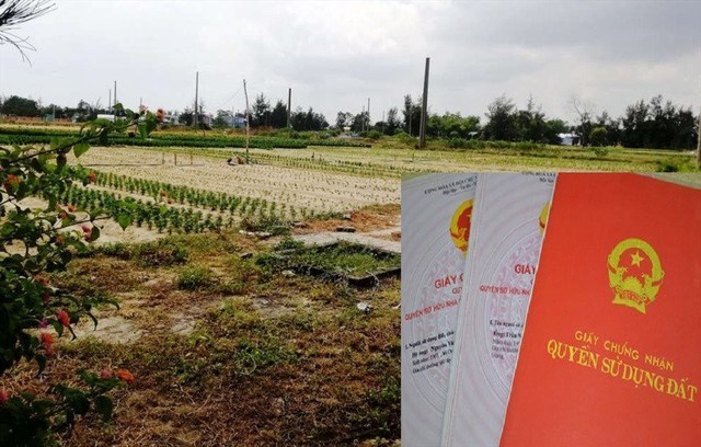 NGƯỜI CÓ ĐẤT NÔNG NGHIỆP BỊ THU HỒI SẼ ĐƯỢC ĐỀN BÙ THẾ NÀO TỪ NĂM 2025?